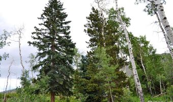 1256 Basking Dog Rd, Bellvue, CO 80512