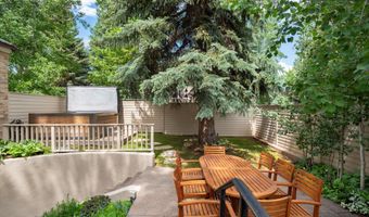 504 N 8th St, Aspen, CO 81611