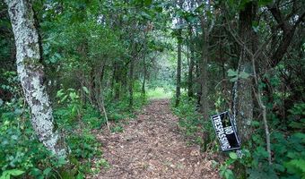 Lot 27 10th Avenue, Adams, WI 53910