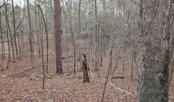 Lots B & C Miller Road, Camden, SC 29020