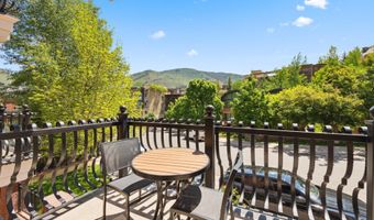 415 E Dean St Unit 44B Week 5, Aspen, CO 81611