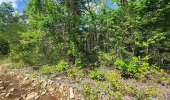 Strawberry Valley Road, Ash Flat, AR 72513