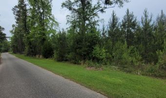 Peterson Lane, Bay Minette, AL 36507