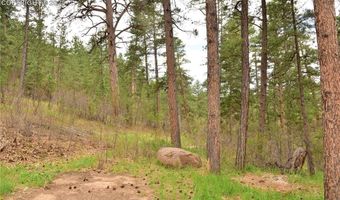 9017 Pine Ave, Beulah, CO 81023