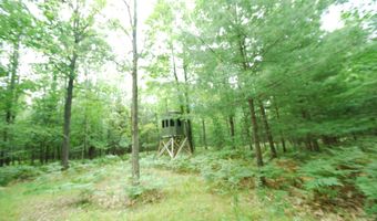 x Franklin Road, Alger, MI 48610