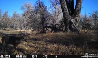 0 County Road 170, Agate, CO 80101