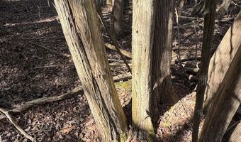 2254 E M30, Alger, MI 48610