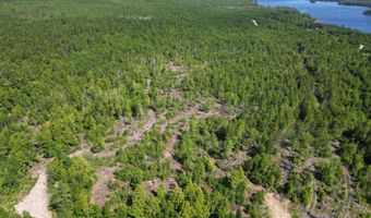 Lot 39 Southwest Brook Lane, Beddington, ME 04622