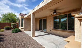 21883 N 263RD Dr, Buckeye, AZ 85396