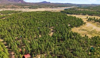 11 County Road 2135, Alpine, AZ 85920