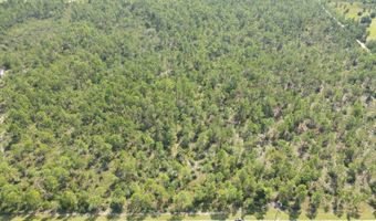 21947 NW Isoletta Rd, Altha, FL 32421