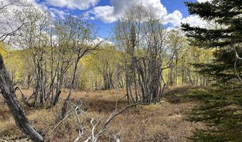B005 Packsaddle Road, Chickaloon, AK 99674