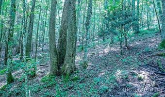 218 Old Mountain Rd, Banner Elk, NC 28604