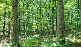 Setty Rd, Albany, OH 45710