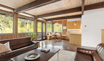 284 Eastwood Dr, Aspen, CO 81611