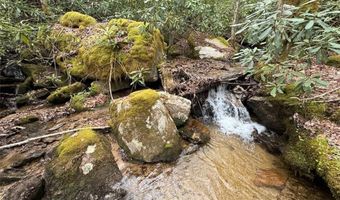62 Acres Buckeye Ridge Rd, Beech Mountain, NC 28604