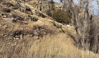 32370 Poudre Canyon Rd, Bellvue, CO 80512