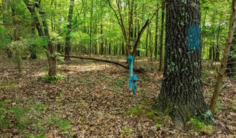 Cave Creek Road, Batesville, AR 72501