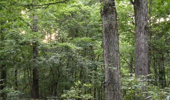 Whiskey Creek Lane, Batesville, AR 72501