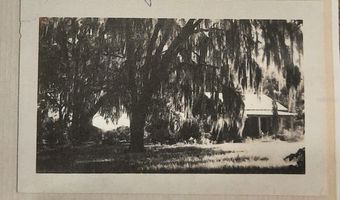 1985 NE 97TH STREED Rd, Anthony, FL 32617