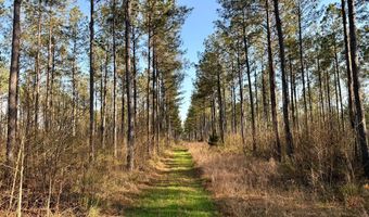 Highway 28, Abbeville, SC 29620