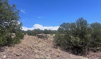 41 Indian Drive CR 8062, Concho, AZ 85924