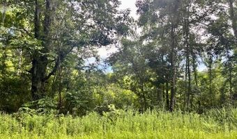 8946 Anderson Rd, Adams Run, SC 29426