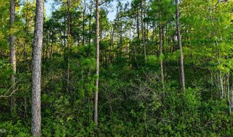 Whiteville Road NW lot 1, Ash, NC 28420