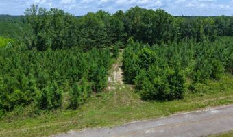 County Road 53, Banks, AL 36005
