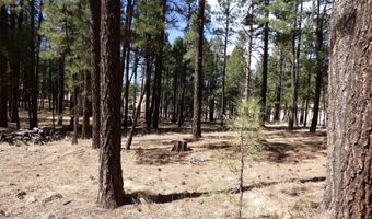 8 B County Road 2267 Escudilla Rd, Alpine, AZ 85920