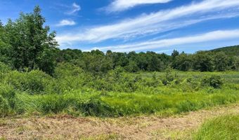 0 Woodland Hills Rd, Andes, NY 13731