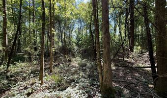 Tbd Williams, Brookhaven, MS 39601