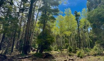 El Camino Real lot 455, Angel Fire, NM 87710