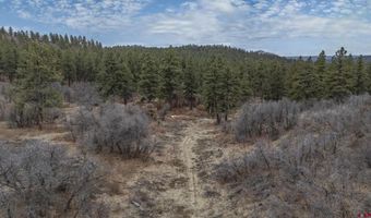TBD Lot 8 Beaver Creek Ranch Drive, Bayfield, CO 81122