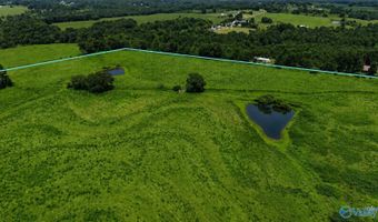 38 Acres Hershell Jones Rd, Arab, AL 35016