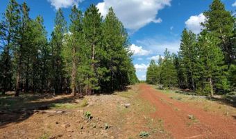 0 Sundown Rd, Alturas, CA 96101