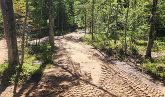 281 Geronimo Rd, Alpena, MI 49707