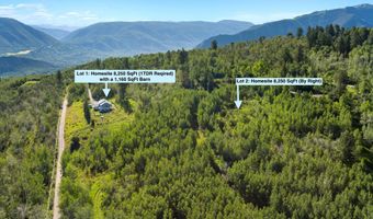 1833 W Buttermilk Rd, Aspen, CO 81611