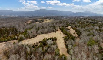 Smithtown Road, Afton, TN 37616