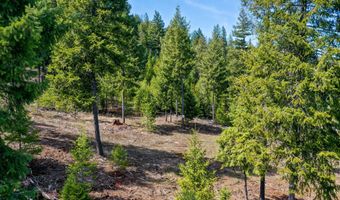 NKA Healing Drive Lot 3, Blanchard, ID 83804