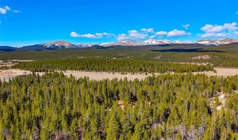 265 Placer Dr Lot 10, Alma, CO 80420