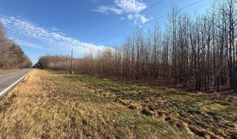 BLACK SWAMP ROAD, Felton, DE 19943