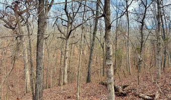 Farm Rd 1187 Lc, Ash Grove, MO 65604