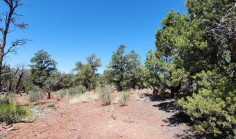 200 Cathedral Vly, Ash Fork, AZ 86320