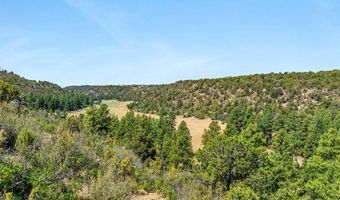 1788 Foxfire Rd, Bayfield, CO 81122