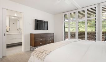 800 E Hopkins Ave A-3, Aspen, CO 81611
