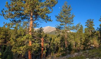 1997 Big Owl Rd, Allenspark, CO 80510