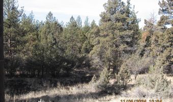 Lot 7 Warbler Drive, Bonanza, OR 97623