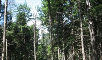 1260 Valentine Pond Rd, Adirondack, NY 12808