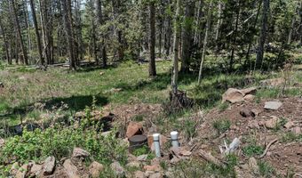 Lot 1267 STARLIGHT OVERLOOK, Angel Fire, NM 87710